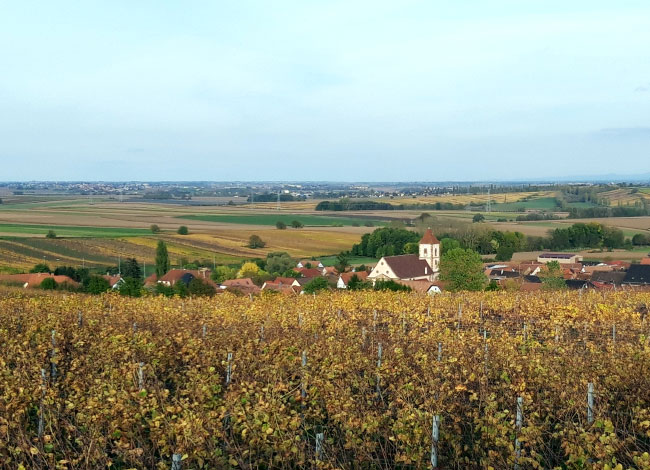 Point de vue sur la commune de Dahlenheim