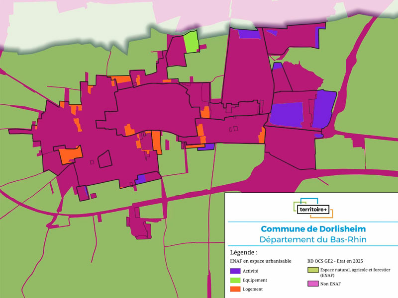 Cartographie présentant le potentiel de consommation d’ENAF sur la durée du PLU, commune de Dorlisheim par Territoire+.