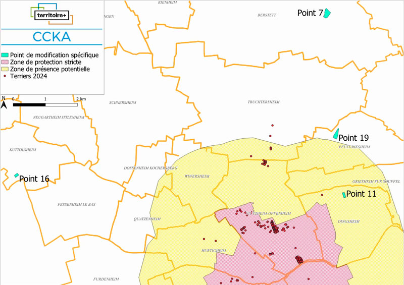 Analyse des incidences de la modifica5on sur le grand hamster d’Alsace, PLUi de la Communauté de Communes du Kochersberg et de l’Ackerland par Territoire+.