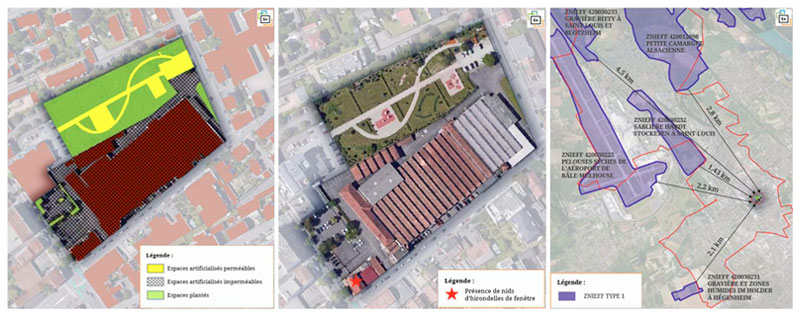 Extraits d’analyse des habitats et espèces présents sur et en périphérie du site, PLU de la commune de Saint-Louis par Territoire+.